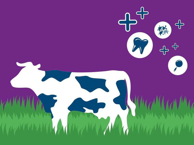 Milk is rich <br> On calcium 