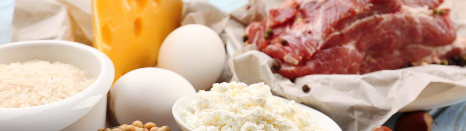 Protein