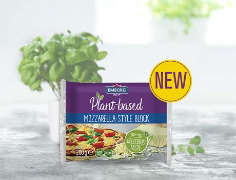 Plant-based Mozzarella-style