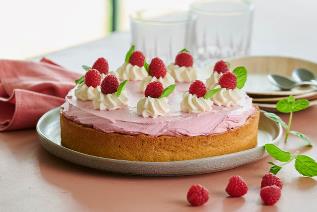 Raspberry Mousse Cake 