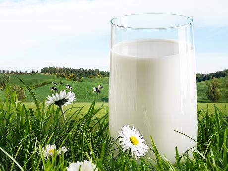 European Milk 
