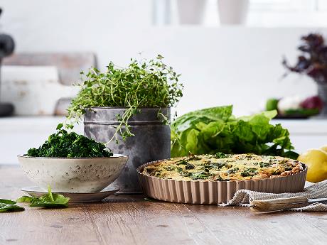 Basic Vegetables 