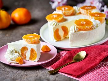 5 Ingredients Mandarin Cheesecake