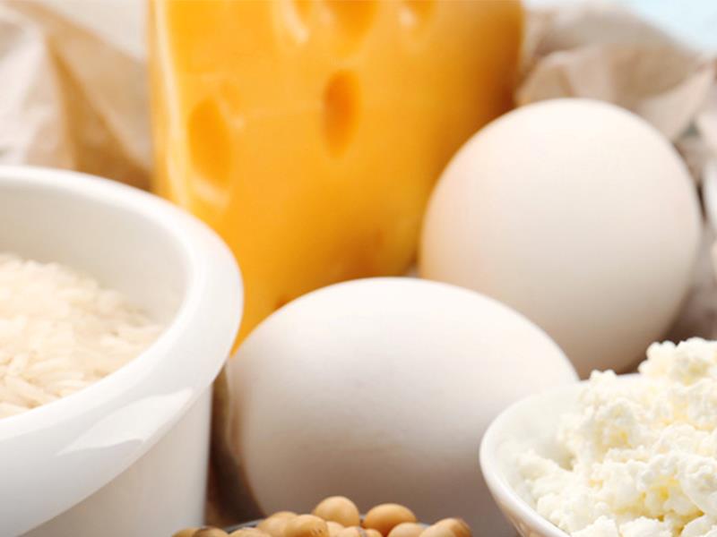 Protein