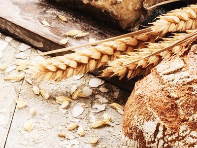 Fibre 