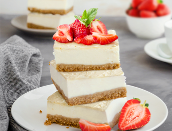No-Bake Yogurt Cheesecake