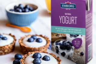 Granola Yogurt Tarts 