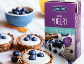 Granola Yogurt Tarts 