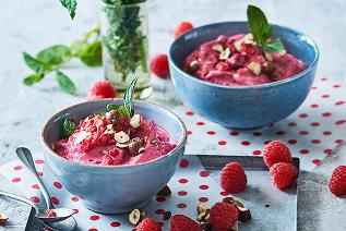 Instant Frozen Berry Yogurt 