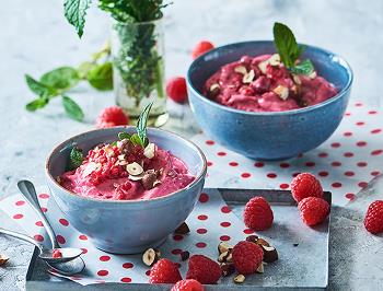 Instant Frozen Berry Yogurt 