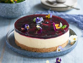 Blueberry Cheesecake