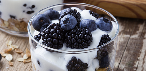 Fresh Natural Yogurt