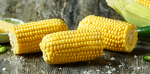 Corn on the cob
