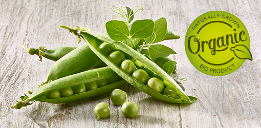 Fresh Organic Peas